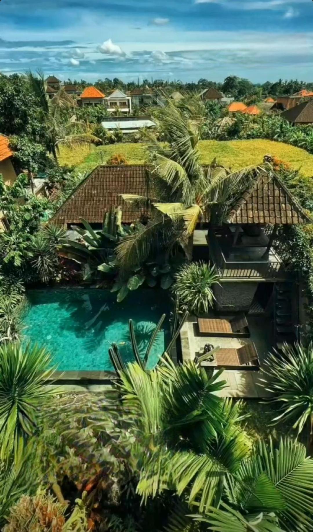 Casa de hóspedes Buda Amitaba